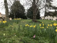 Grade 1 Listed Historic Home Close to Burghley & Shops.