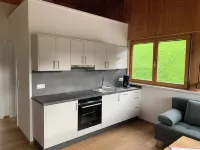 Modern and cosy holiday flat near Heinfels Castle and the Thurntaler ski area