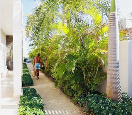 Palapa Suite # 5, walk to Eagle Beach