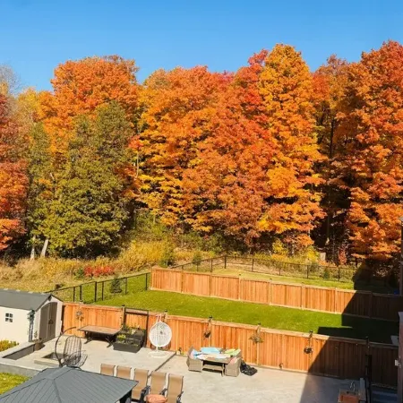 Studio Apartment in the heart of Caledon