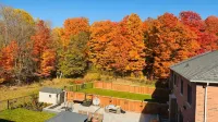 Studio Apartment in the heart of Caledon
