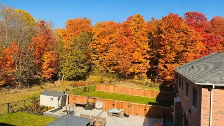 Studio Apartment in the heart of Caledon Отели в г. Каледон