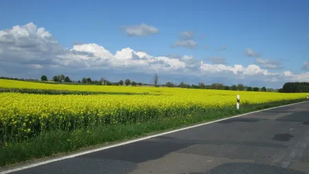 Vacation Apartment "Zum Alten Pferdestall" - Somewhere in the Middle of Nowhere Отели в г. Уккермарк