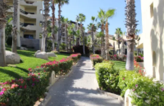 Misiones del Cabo 4206. 1BR Completely Remodeled Ocean View Condo!