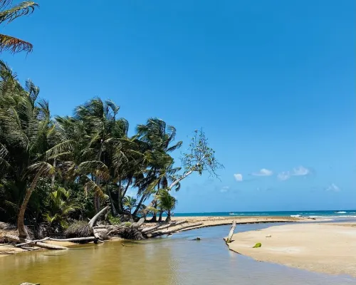 LOCATION! Beach & Ocean Front Luxury Villa Rio Mar Resort Hotels in Mameyes II