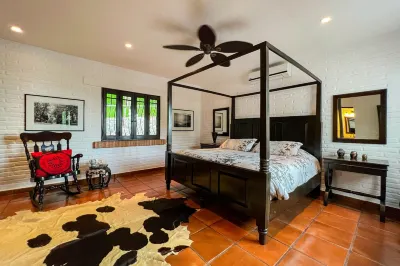 Casa Sol Large beautiful estate ocean front, with the jungle in your backyard!
