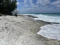 Bimini ocean view condo