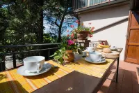 House with garden in the hills of Chianti Hotels in Montespertoli