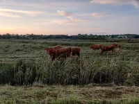 Casa da Duna, Carvalhal, Comporta