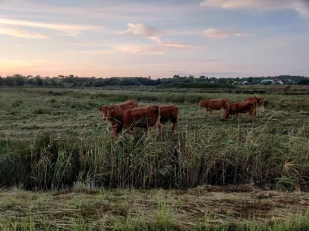 Casa da Duna, Carvalhal, Comporta