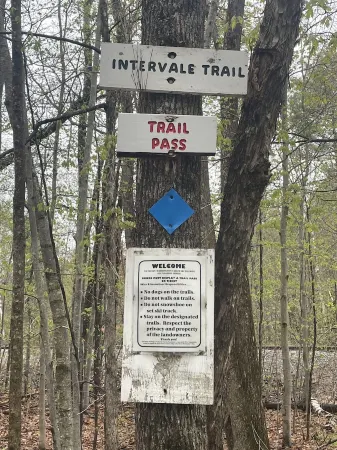 Cozy townhome sleeps 10 in the heart of it all. Minutes to multiple ski resorts Отели в г. Бартлетт