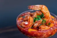 Coconuco Beach Palomino