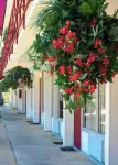 Passion Play Road Inn - Formerly Statue Road Inn Hotel a Cedar Township