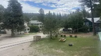 Summit Inn - Mountain view