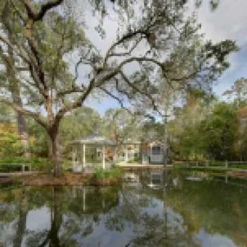 灰色貓頭鷹民宿