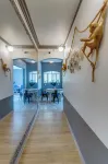 THE CONDESA HOUSE