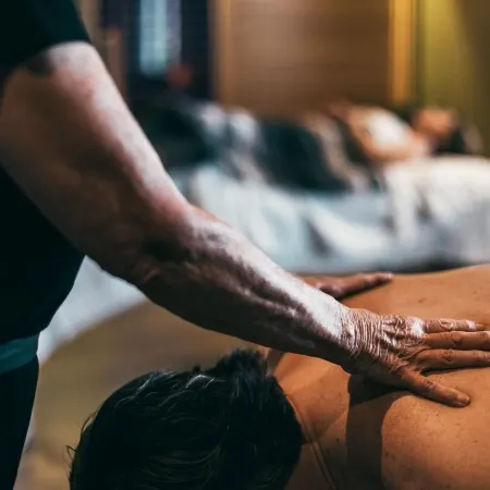 Hotel Domestique