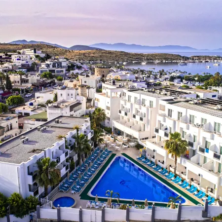 Club Shark Hotel