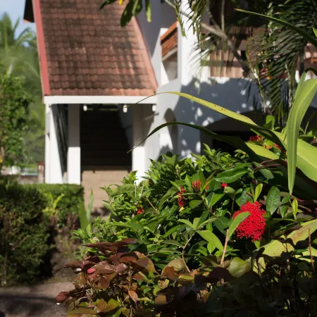 Hotel Pochote Grande