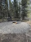 Newly built Porchside Forest Getaway 4-bedroom 3-bath cabin WiFi, AC.
