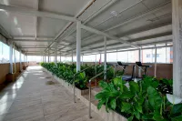 Novares Hotel - Parkering