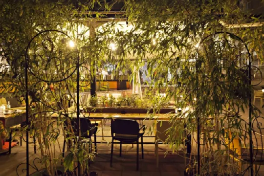 Kombinat Rooms City Center Hotels in 