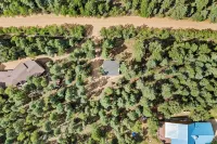 Mini Mountain Retreat surrounded by Trees in enchanting Divide with WiFi
