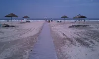 Premier beachfront resort located in the heart of Diamond Beach - 비치