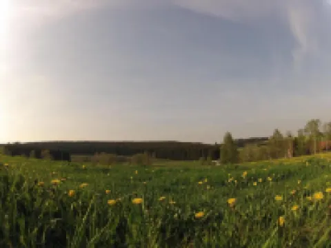 Alpine Getaway with Fireplace