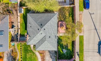 Lilac in Law, Picturesque Lower Unit