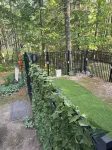Cabin on lake . Pet friendly