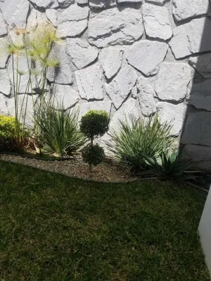 Charming 3-bedroom house with WiFi, AC in Aguascalientes Các khách sạn ở 