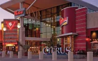 DFGmoments#2/Northdale/Citrus Park Mall
