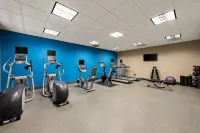 芬德利希爾頓花園酒店 - 健身室/gym room