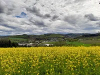Sorpesee/Amecke in Sauerland Vacation Home by the Lake