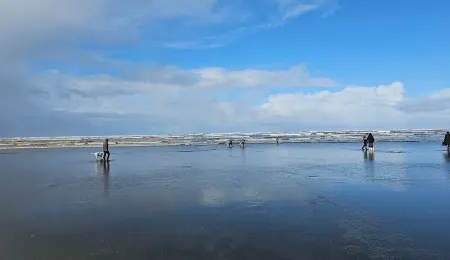 Peace and quiet.  Hidden Serenity at Country Charm house.