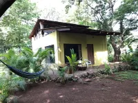 Classic jungle cabin minutes from the beach surrounded by beautiful nature