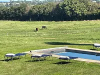 The houses on the hill