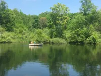 Charming Historic 4 Bdrm Farmhouse AC secluded, centrally located, fishing pond Hotels in Chenango County