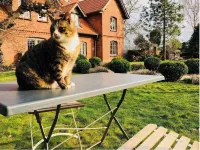 Ferienwohnung III auf Hof Himmelgrün Hotels in Saal