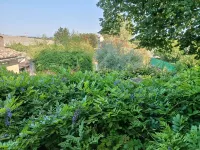 Le Gîte du Pont des Lones