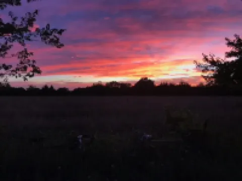 Charming 3-bedroom cottage with picturesque sunsets