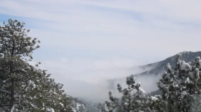 Modern Cabin Close to Everything