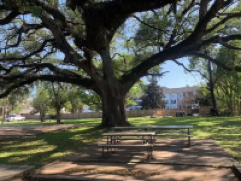 Spacious 5-bedroom house steps from Festival with large yard, AC In Downtown