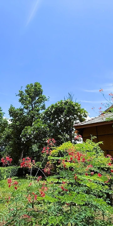 รูปภาพของบ้านกระทิง ปาย รีสอร์ท