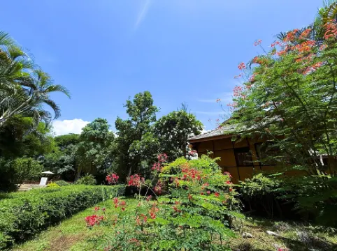 Baan Krating Pai Resort