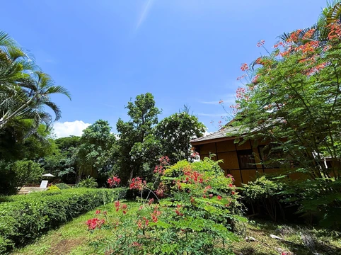 รูปภาพของบ้านกระทิง ปาย รีสอร์ท