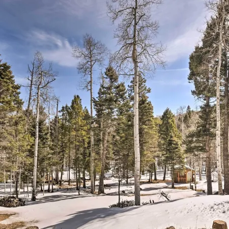 Expansive Angel Fire Retreat 1 Mi to Fishing!