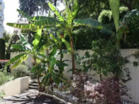 Apartment in Golfe Juan with Sea View