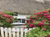 Cottage in Sennen Cove with Stunning Sea Views Hotels in Mousehole